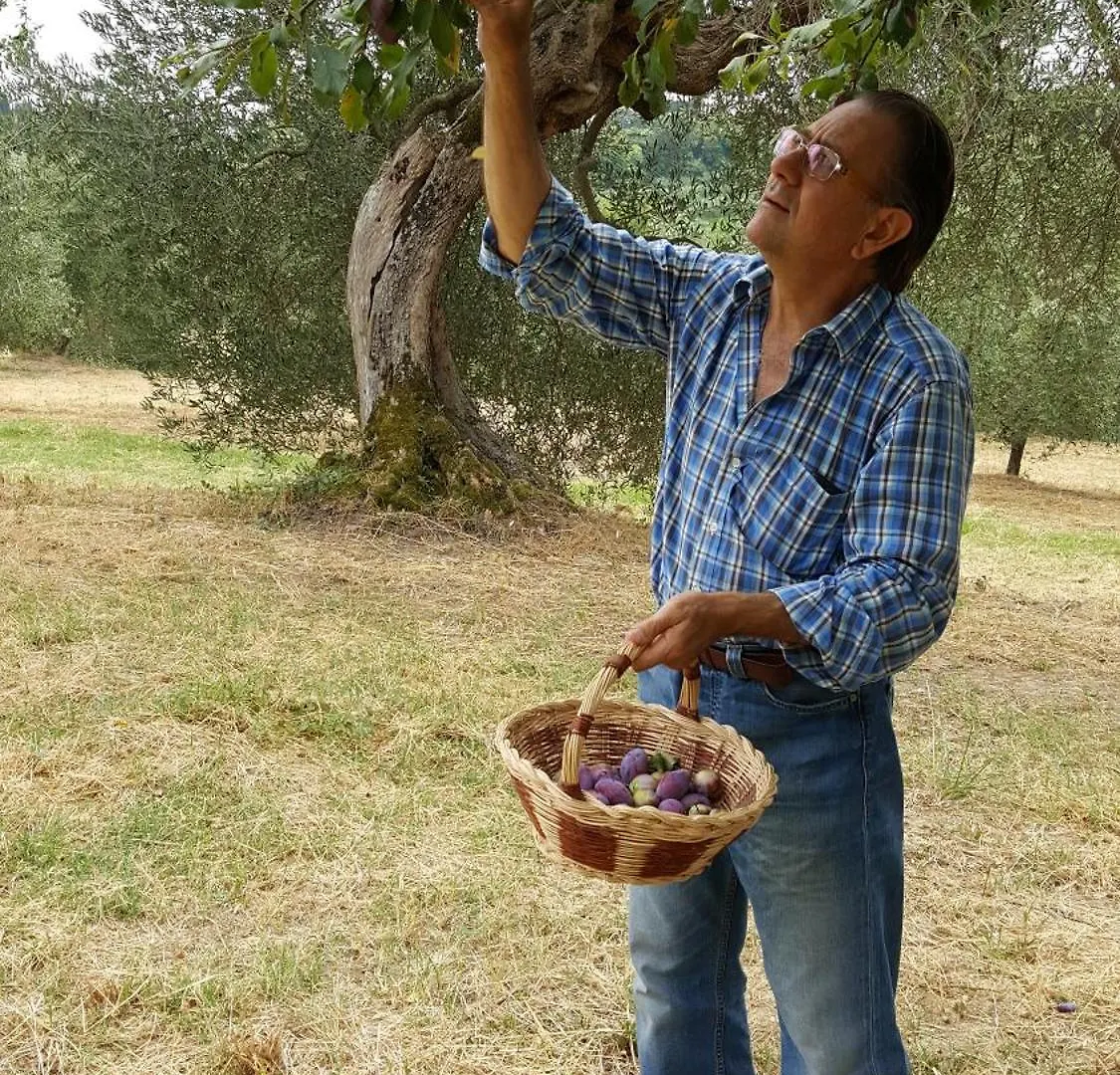 Alloggio per agriturismo Montebello Degli Olivi Chiusi Italia